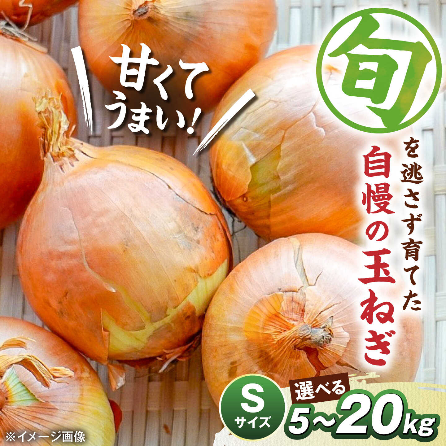【ふるさと納税】玉ねぎ 【選べる容量】5kg 10kg 20kg Sサイズ たまねぎ 玉葱 野菜 旬 オニオン 産地直送 滋賀県長浜市/柏本農園株式会社[AQDZ005]