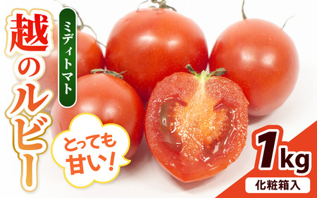 【先行予約】坂井市砂丘地のとっても甘い フルーツトマト 越のルビー 1kg 化粧箱入り 【2025年10月上旬以降順次発送】【とまと トマト フルーツトマト ミディトマト ミニトマト トマトジュース 野菜 やさい 人気 新鮮 産地直送 甘い 高糖度 食べやすい リコピン ビタミン ダイエット 美容 美肌 ギフト 贈り物 贈答】 [A-19104]