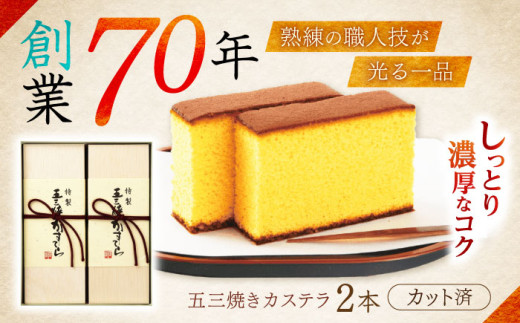 特製五三焼かすてら 詰め合わせ 2号セット / カステラ かすてら 五三焼 長崎かすてら 長崎カステラ お菓子 和菓子 スイーツ ギフト  / 諫早市 / 株式会社異人堂 [AHBF004]