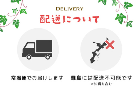 【数量限定】富里スイカ(Lサイズ6～7kg)1玉  すいか スイカ 西瓜 千葉県 富里市 果物 フルーツ 採れたて とれたて 産地直送 農家直送 千葉県産 ちば 千葉すいか 千葉スイカ 富里 富里すい