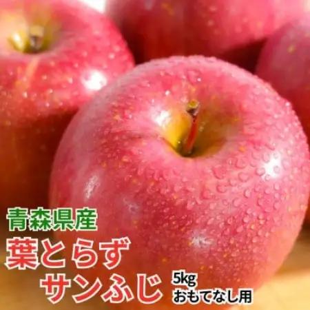 【26年11月から順次発送!】青森県産 りんご 葉とらずサンふじ おもてなし用 約5kg【配送不可地域：沖縄県】【1735532】