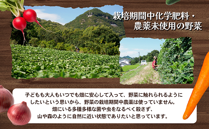 【 小豆島 】瀬戸内小豆島の旬野菜セット 農家直送 年12回お届け 定期便 野菜 やさい 旬 新鮮 詰め合わせ 香川 香川県 土庄 土庄町