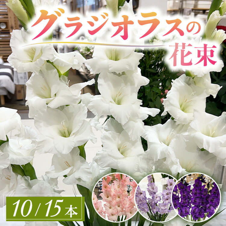 【ふるさと納税】【選べる本数】グラジオラスの花束 10本 15本セット ※2026年6月上旬～7月上旬頃に順次発送予定 ※離島への配送不可