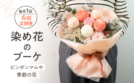 6回定期便 ピンポンマムを中心とした染め花のブーケ 花 花束 ギフト 贈り物 ブーケ 生花 季節の花 菊 赤 ピンク 誕生日 フラワー 雑貨 インテリア 人気 母の日 父の日 切花 菊 キク