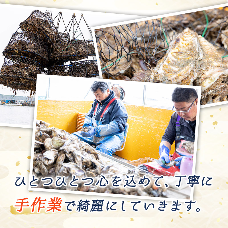 北海道 仙鳳趾名産 牡蠣 200g～249g×10コ＋かきナイフ付き 漁師直送K4-5 【センポウシ : 釧路町の東 厚岸湾の西 カキの名産地】 仙鳳趾 北海道 釧路町 釧路超 特産品_イメージ5