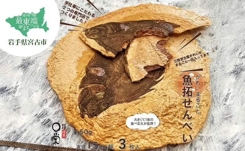 【かれい専門店】宮古で獲れた かれいまるごと魚拓せんべい 直径15cm超 3枚