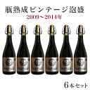 【ふるさと納税】瓶熟成ビンテージ泡盛6本セット(2009年～2014年)