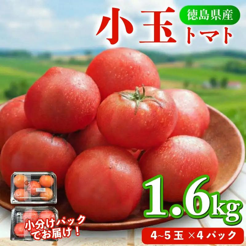 トマト 4パック 1.6kg 小玉トマト