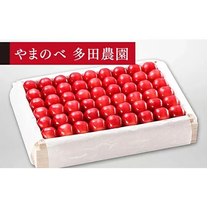 【ふるさと納税】《2026年先行予約》【特選ダイアナブライト】桐箱詰 約1,100g【やまのべ多田耕太郎のさくらんぼ 多田農園】期間限定 数量限定 山形県産 サクランボ フルーツ 果物 くだもの 贈答 F4A-0006