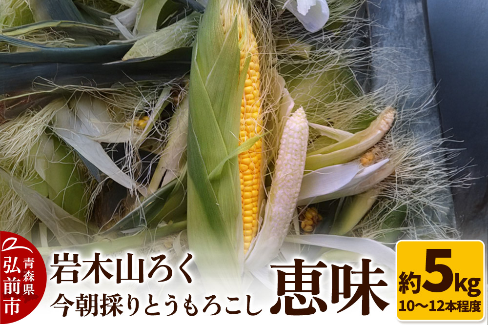 岩木山ろく 今朝採り とうもろこし 恵味 約5kg（10～12本程度）