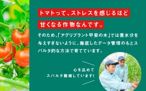 【先行予約】【2024年11月発送】 【ギフト】スパルタ生まれの笑ちゃんトマト(200g×4パック入)  GC-1