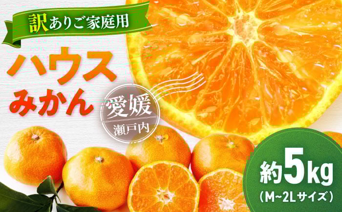 
            【先行予約】【7月上旬より順次発送】【ご家庭用】愛媛県産 峯田農園のあま〜い「ハウスみかん」5kg　大玉（M,L,2Lサイズ混合）愛媛県大洲市/峯田農園　 [AGBT020]
          