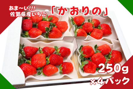 佐賀県産 いちご「かおりの」（250g×4パック）：B110-046