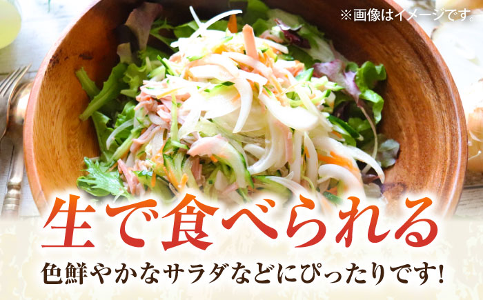 【先行予約】新玉ねぎ　約5kg（3月～4月）【鈴也ファーム】 [AKCE019]