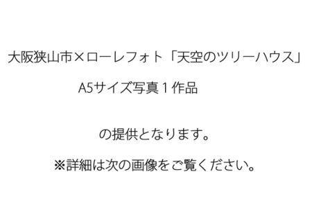 No.165 1－A5 大阪狭山市×ローレフォト 天空のツリーハウス