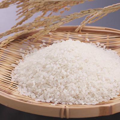 ふるさと納税 大潟村 あきたこまち特別栽培米 精米5kg |  | 02