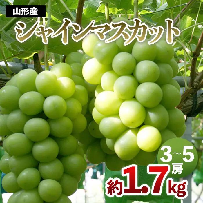 山形産 シャインマスカット 約1.7kg(3～5房)【令和8年産先行予約】FS24-502 くだもの 果物 フルーツ 山形 山形県 山形市 2026年産