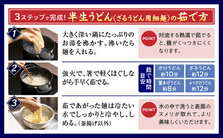 ざるうどん半生10袋入（つゆ付）|うどん さぬきうどん 讃岐うどん ざるうどん 細麺 半生うどん コシ めんつゆ付き かけ 釜あげ ぶっかけ 伝統 香川 半生 三木町|_mk041-006