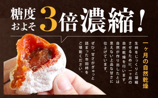 長野県産 ご家庭用 市田柿(300g×3袋)＜2027年1月中旬～2月下旬発送＞