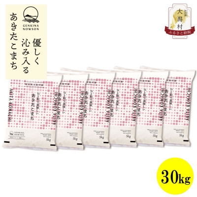 
                  【毎月定期便】秋田県産あきたこまち無洗米30kg(5kg×6)全6回【4073094】
                