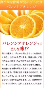 秀品　希少な国産バレンシアオレンジ　2.5kg　※2024年6月下旬頃～2024年7月上旬頃に順次発送予定（お届け日指定不可）【uot752】