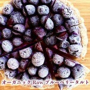 【定期便6ヶ月】 オーガニック スイーツ 6種類 ケーキ タルト 