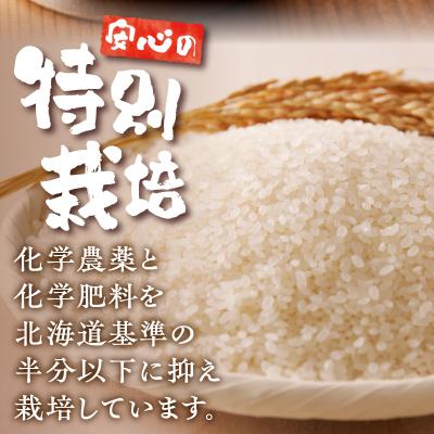 ふるさと納税 滝川市 《令和7年産》特別栽培米ゆめぴりか 10kg×6ヵ月定期便 特A 減農薬 白米 北海道滝川市 |  | 01