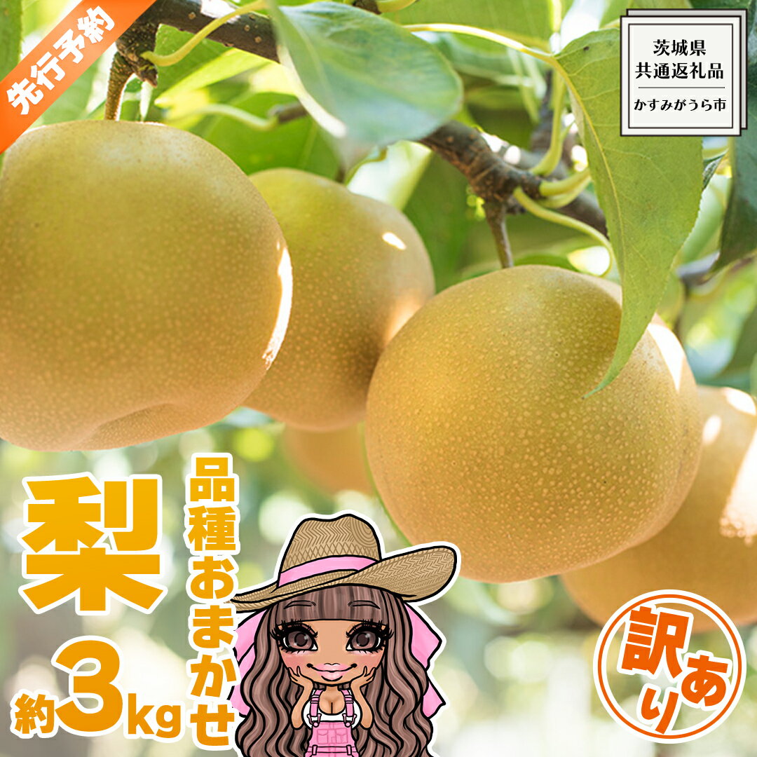 【ふるさと納税】 【 先行予約 】 【 訳あり 】 品種おまかせ 採れたて 完熟天使の 甘梨 約 3kg（ 茨城県共通返礼品： かすみがうら市 ） 【 2026年8月中旬頃発送 】 フルーツ 果物 なし ナシ 旬 新鮮 旬 期間限定 甘い 国産