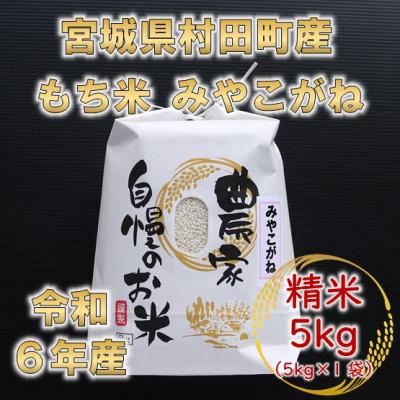 ふるさと納税 村田町 令和6年産 もち米みやこがね 精米5kg(5kg×1袋) 宮城県村田町産