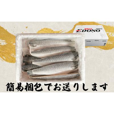 ふるさと納税 銚子市 無塩さば 10枚 |  | 01