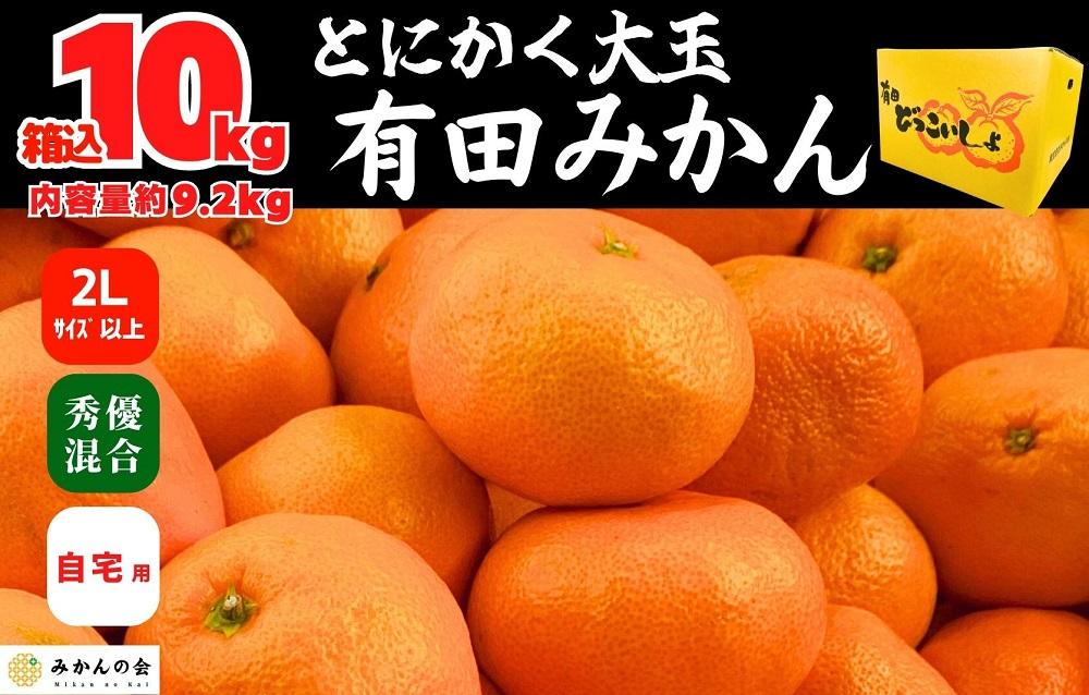 みかん 大玉 どっこいしょ 箱込 10kg ( 内容量約 9.2kg ) 2Lサイズ以上 秀品 優品 混合 有田みかん 和歌山県産 産地直送 家庭用【みかんの会】