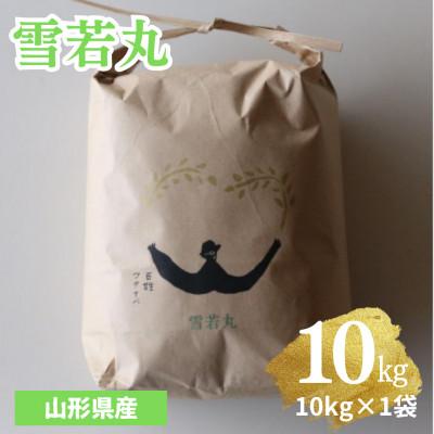 ふるさと納税 南陽市 【令和7年産】山形県産雪若丸　精米10kg (10kg×1袋)【S1977】