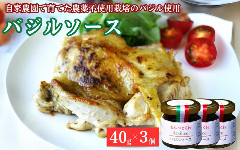 
                  手作りバジルソース　40g×3個 / バジル ソース パスタ 手作り 料理 アレンジ 自家農園 栽培期間中農薬不使用栽培 万能ソース 和歌山 龍神 【mpt002】
                