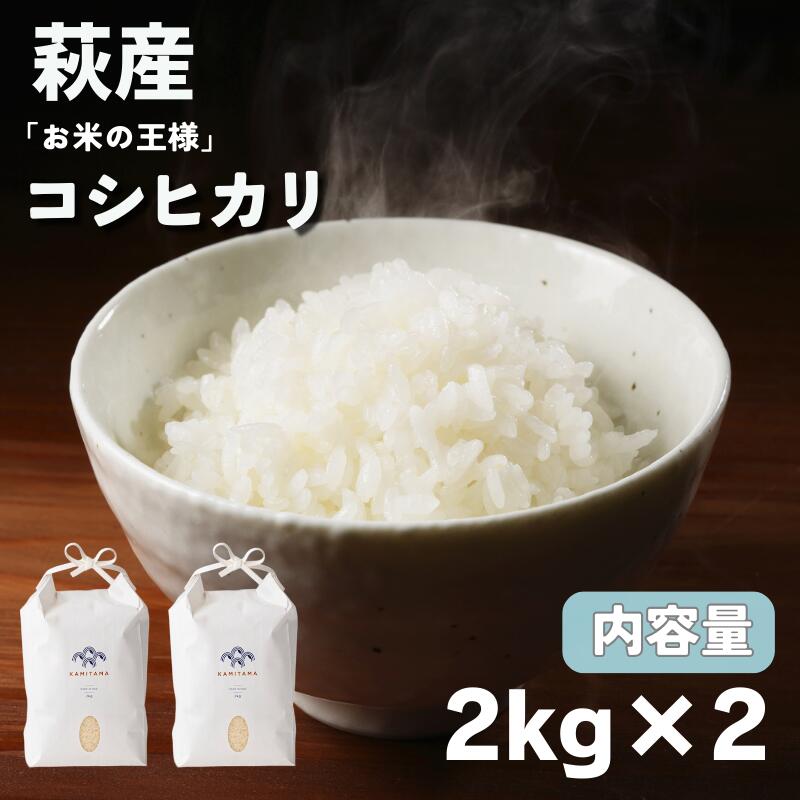 【ふるさと納税】コシヒカリ 令和7年 2kg×2袋 セット 米 コメ こめ 萩産 KAMITAMA