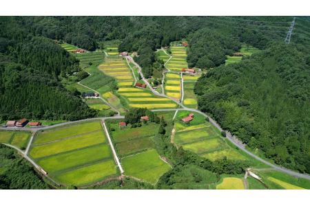 【令和５年産】浜田・旭のうまいもん「坂本」食べ比べ3種セット 米 お米 精米 白米 ごはん 新生活 応援 準備 お取り寄せ 特産 つや姫 こしひかり きぬむすめ 食べ比べ セット 【1156】