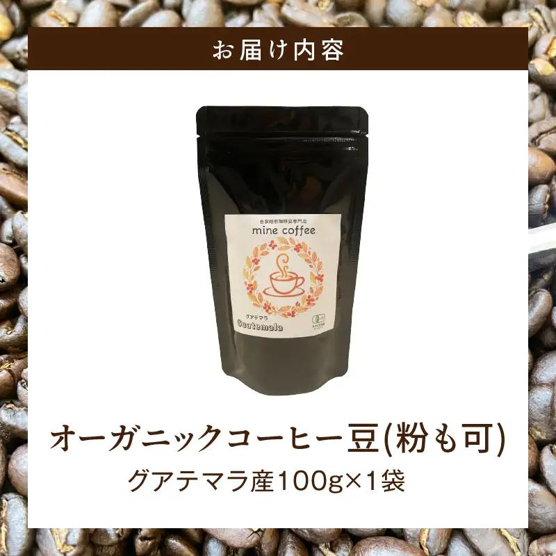 コーヒー 豆 コーヒー[オーガニックコーヒー コーヒー豆 珈琲 珈琲豆 自家焙煎 お取り寄せ ギフト 100g×1袋]