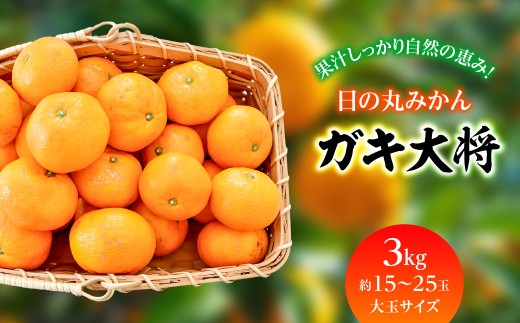 果汁しっかり自然の恵み!「ガキ大将」3kg(大玉サイズ)日の丸みかん/ご家庭用＜C79-11＞【1452034】 YWTC011