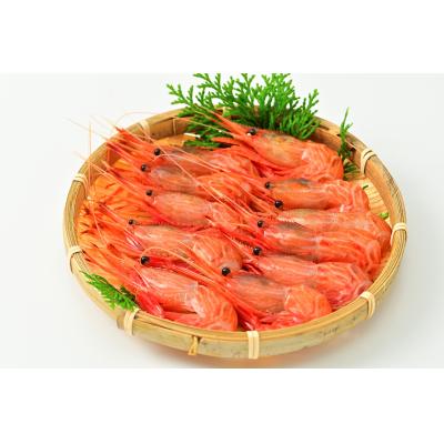 ふるさと納税 苫前町 【急速冷凍】北海道苫前産シマエビ　500g2パック《数量限定》(えび・海老・北海道・小分け・生)
