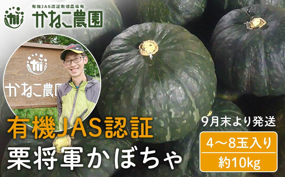 
            【2025年9月末より発送】栽培期間農薬不使用！有機栗将軍かぼちゃ ４～8玉入り（約10kg）【かねこ農園】
          