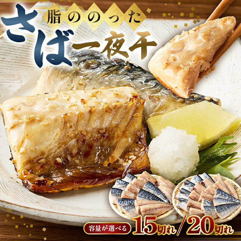 【ふるさと納税】 【容量が選べる】脂ののったさば一夜干 千葉県 南房総市 焼くだけ 簡単 ノルウェーさば 胡麻 風味 食欲 おつまみ お弁当 おかず 干し物 お取り寄せ グルメ 送料無料