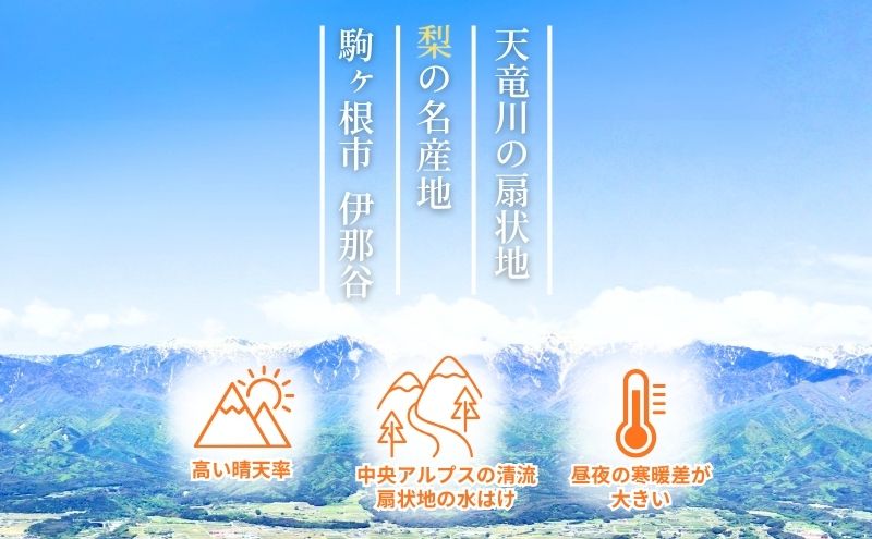 【先行予約】令和8年産 訳あり 南水 梨 4kg (8玉?12玉) 家庭用 長野県産 なんすい みずみずしい 甘い フルーツ 果物