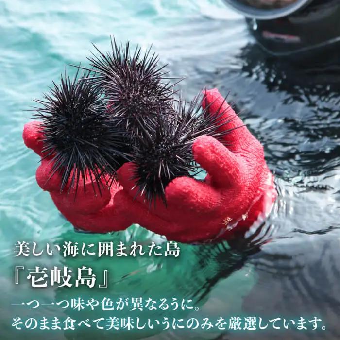 生うに 寒ぶり丼の素 セット・食べ比べ 老舗の厳選 おさだの生うに《壱岐市》【長田商店】[JAO014]