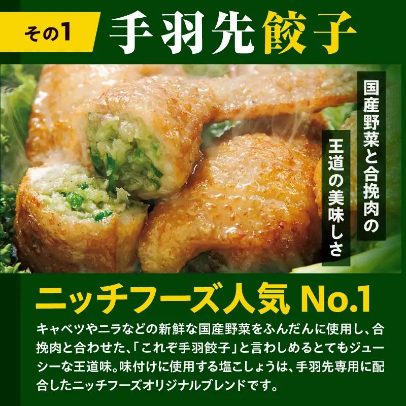 餃子 手羽先 3種セット 餃子