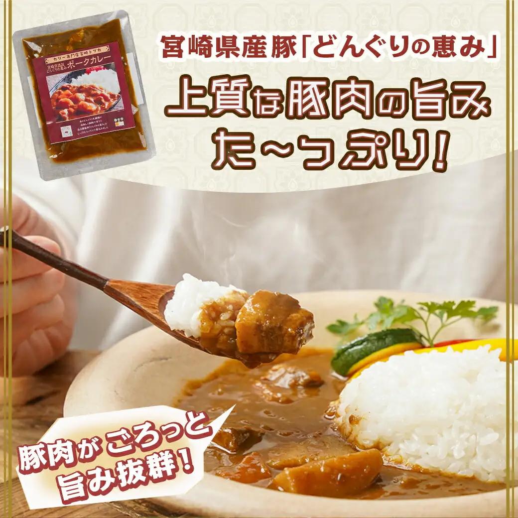 トプカ☆どんぐりの恵みポークカレー5食セット※ポスト投函_LD-J903_(都城市) カレー専門店 手づくり ポークカレー レトルト ポスト投函