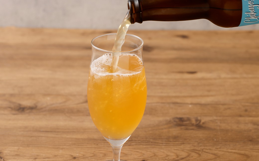 クラフトビール 2種 6本 セット