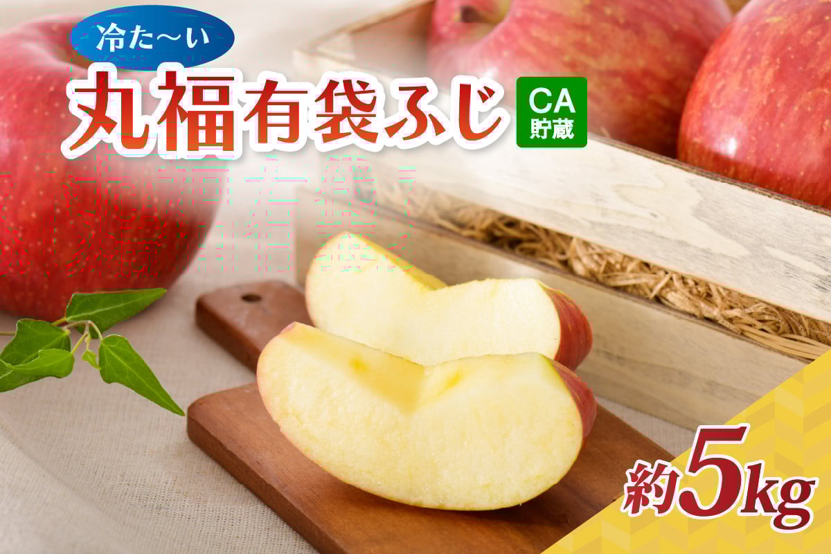 
                  りんご 丸福 有袋ふじ 約5kg CA貯蔵 青森県産 【選べる配送時期】 5月 6月 発送 【 青森 五所川原  冷た～い フジ 5キロ 有袋ふじりんご リンゴ クール便 ＣＡ貯蔵 青森りんご 林檎 】
                