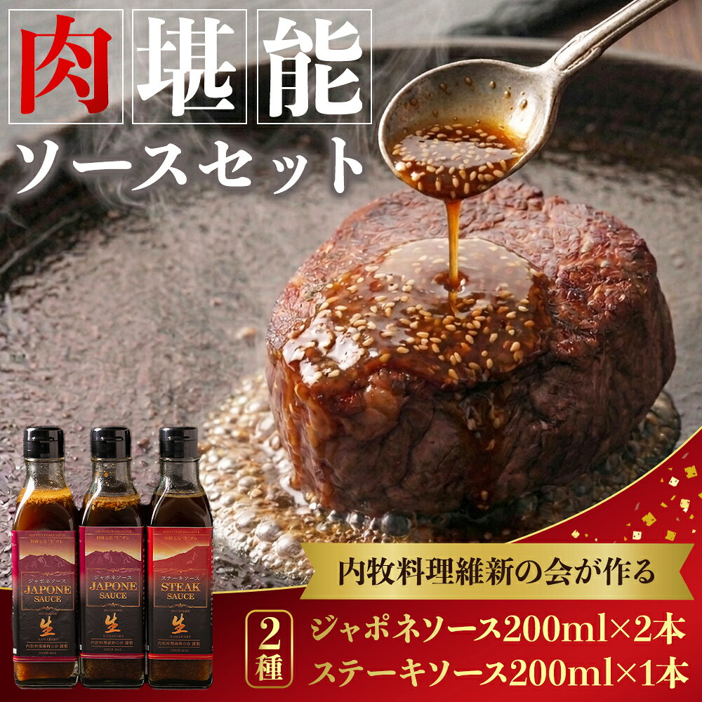 【ふるさと納税】内牧料理維新の会が作る、肉ソース2種セット お取り寄せ ギフト 贈答用 オリジナルソース おいしい おもてなし 人気 贅沢 BBQ 簡単 かけるだけ プレゼント お礼 熊本県 阿蘇市