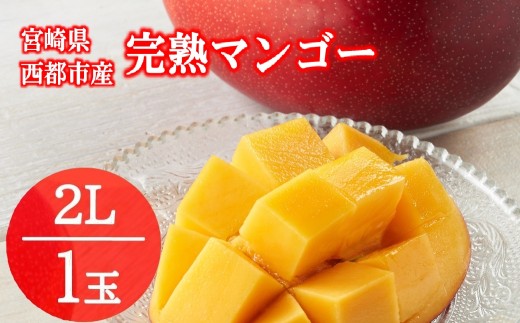 西都産完熟マンゴー  2L×1玉 宮崎マンゴー 果物 フルーツ 甘い  宮崎完熟マンゴー【先行予約】2027年発送＜73-1b＞