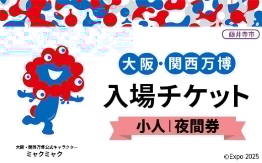 No.369 2025年日本国際博覧会入場チケット 夜間券（小人）【藤井寺市返礼品】 ／ 万博 EXPO 2025 大阪万博 関西万博 夢洲 入場券 大阪府