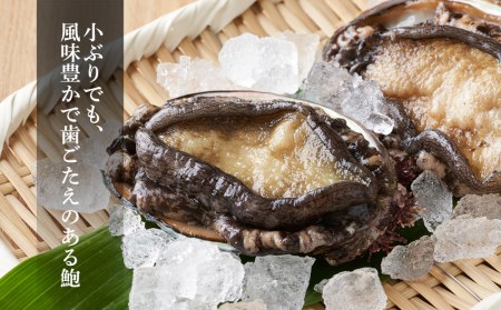 【期間限定・価格見直し】 利尻島産・あわび醤油煮 4缶《利尻漁業協同組合》